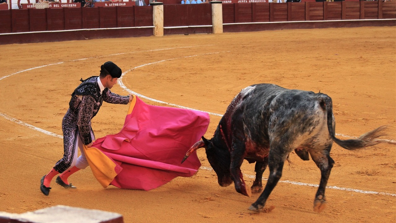 Stierenvechten in Sevilla; waar en wanneer?